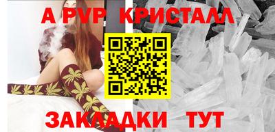 дмт Ярославль
