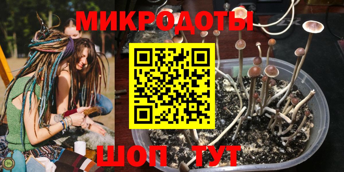 Псилоцибиновые грибы Magic Shrooms  Псилоцибиновые грибы GOLDEN TEACHER  Аша  Вход с VPN 