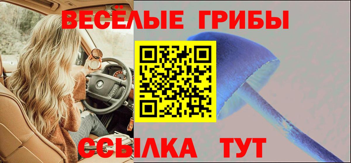 Псилоцибиновые грибы Magic Shrooms Аша